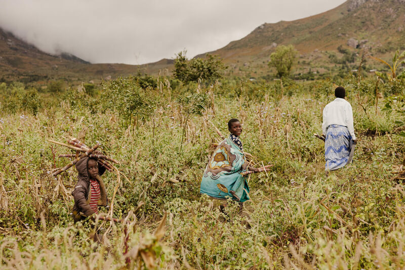 enfants travaillant dans les champs au malawi pour aider leur famille à subvenir à leurs besoins