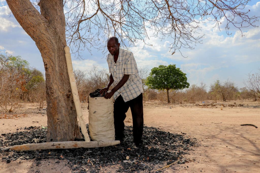 le changement climatique a des répercutions sur la sécurité alimentaire