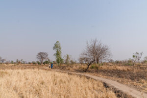 Terre asséchée par la sécheresse illustrant les conséquences du changement climatique sur l'eau